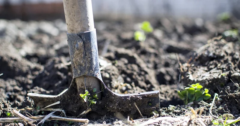 Potager vertical et bacs sur pied : gagner de la place sans surcharger